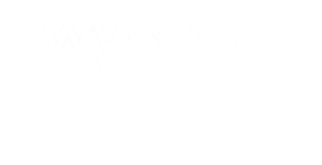 https://wyscout.com/