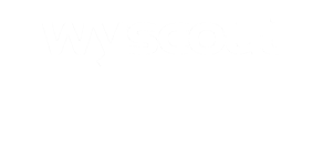 https://wyscout.com/