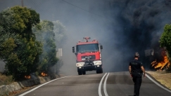 Συναγερμός για φωτιά στη Φθιώτιδα: Κινητοποιήθηκαν επίγειες και εναέριες δυνάμεις