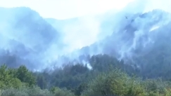 Μάχη με τις φλόγες δίνουν οι δυνάμεις της πυροσβεστικής που προσπαθούν να θέσουν υπό έλεγχο τη φωτιά στη Θάσο (vids)