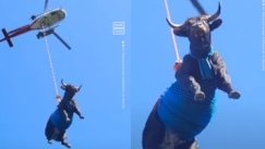 Στην Ελβετία πραγματοποίησαν αεροδιακομιδή αγελάδας επειδή έσπασε το πόδι της (vid)