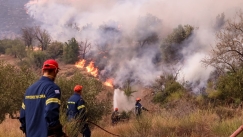 Δύο συλλήψεις για εμπρησμό σε Λάρισα και Κάρυστο: Ο ένας ομολόγησε ότι είχε προκαλέσει τέσσερις πυρκαγιές Ιούλιο και Αύγουστο