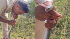 Αστυνομικός στην Ινδία έδωσε «το φιλί της ζωής» σε...φίδι: Το βρήκε χωρίς τις αισθήσεις του (vid)