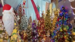 Όταν το κιτς συναντά τα Χριστούγεννα: Οικογένεια γέμισε το σπίτι τους με 555 δέντρα (vid)