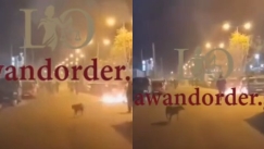 Βίντεο από τα επεισόδια έξω από το «Μελίνα Μερκούρη» που τραυματίστηκε αστυνομικός (vid)