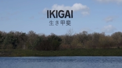 Ikigai: Το μυστικό για μια ευτυχισμένη και επιτυχημένη ζωή (vid)