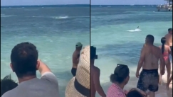 Η τρομακτική στιγμή επίθεσης καρχαρία: Οι παραθεριστές τρέχουν πανικόβλητοι στην ακτή (vid)