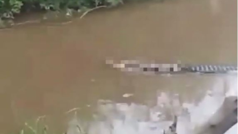 H σοκαριστική στιγμή που ένας κροκόδειλος σέρνει μισοφαγωμένο ψαρά σε ποτάμι της Ινδονησίας (vid)