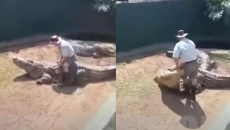 Σοκαριστικό βίντεο: Γιγαντιαίος κροκόδειλος άρπαξε τον εκπαιδευτή του μπροστά σε θεατές