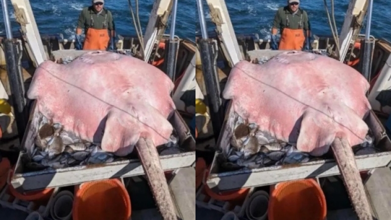 Σαλάχι 180 κιλών βρέθηκε στις ΗΠΑ: Ο ψαράς έμεινε άναυδος 