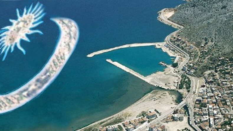 Tεχνητά νησιά στο Αιγαίο σχεδιάζουν οι Τούρκοι