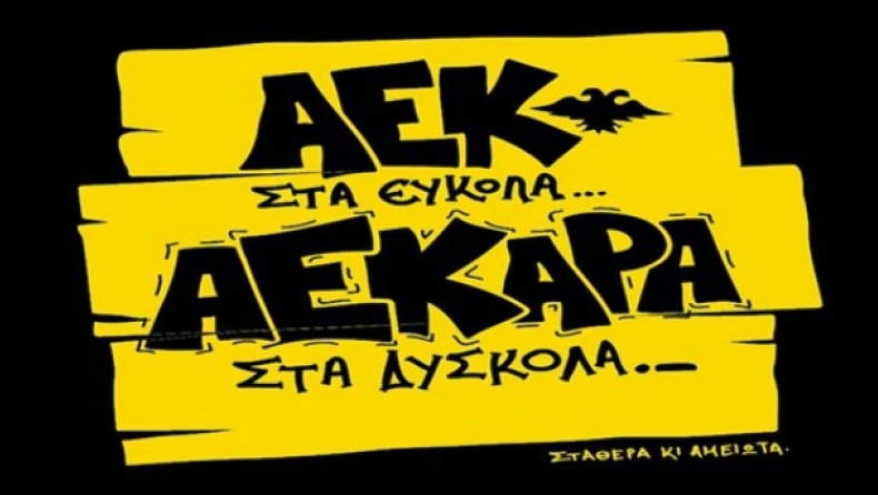 AEK 2013