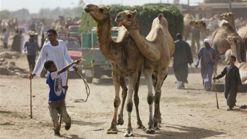 Άλλα 13 κρούσματα του MERS στην Σαουδίκη Αραβία