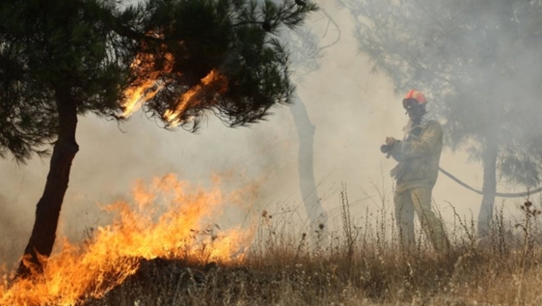 Υπό μερικό έλεγχο η πυρκαγιά στη Ζάκυνθο