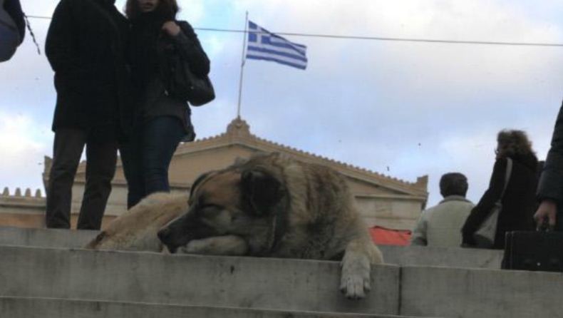 «Βόμβα» από Βρυξέλλες: Η Ελλάδα οδεύει για νέο δάνειο και Μνημόνιο