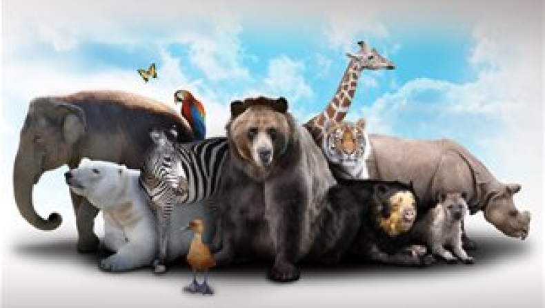 Τα 10 πιο δυνατά ζώα στον πλανήτη