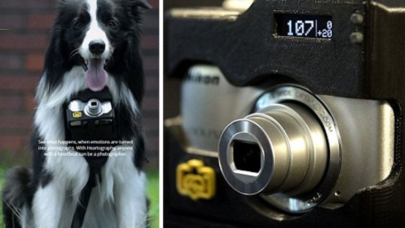 Φωτογραφική μηχανή για... σκύλους (vid)