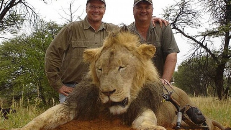 «Ανθρώπινο σκουπίδι» ο φονιάς του λιονταριού της Ζιμπάμπουε (pics)
