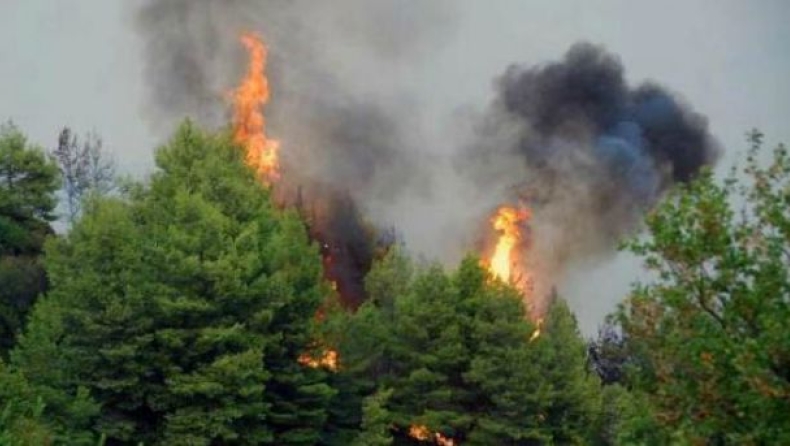 Wildfire reported near Kranidi, Ermioni