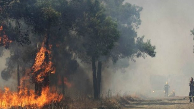 Fire breaks out in Kastro, in Ileia