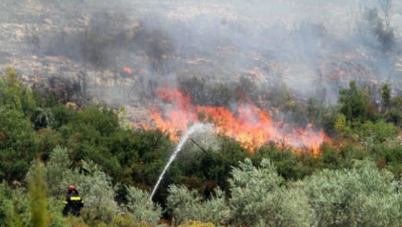 Fire in Stamata, east Attica under control