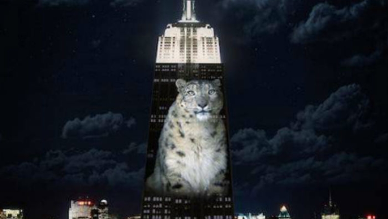 Ζώα προς εξαφάνιση βρέθηκαν στο Empire State Building (vid)