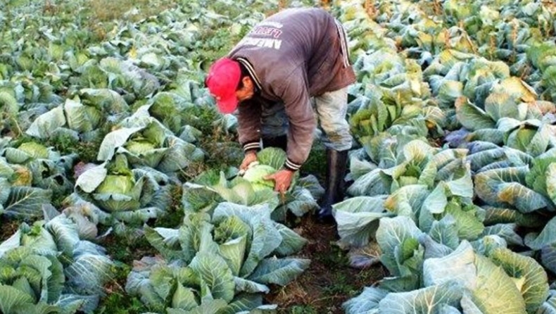 Αυξήσεις έως 182 ευρώ το μήνα στις εισφορές 650.000 αγροτών