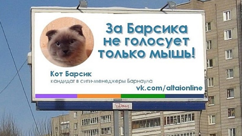 Πόλη στη Σιβηρία θέλει για δήμαρχό της μια... γάτα!