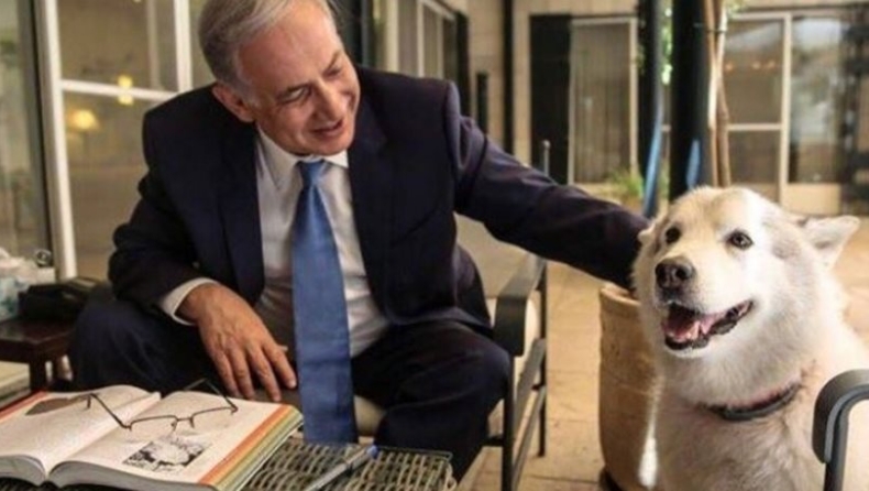 Η σκυλίτσα του Νετανιάχου δάγκωσε δύο πολιτικούς επισκέπτες