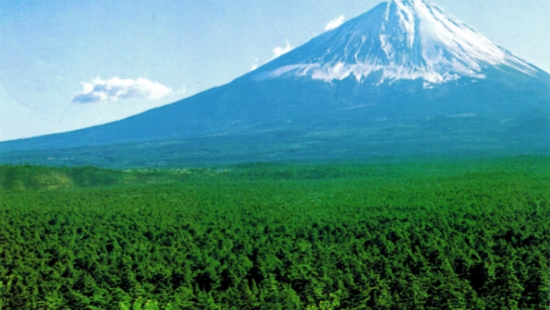 Κόβει την ανάσα το δάσος των αυτοκτονιών στην Ιαπωνία
