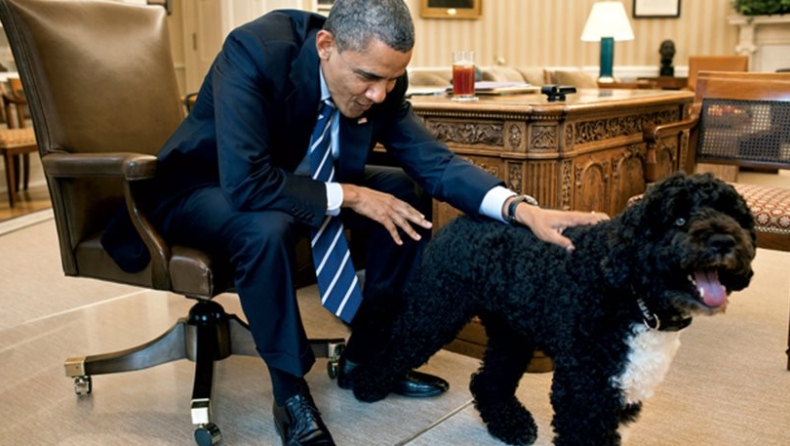 Ψυχοπαθής σχεδίαζε να απαγάγει τα σκυλιά του Ομπάμα