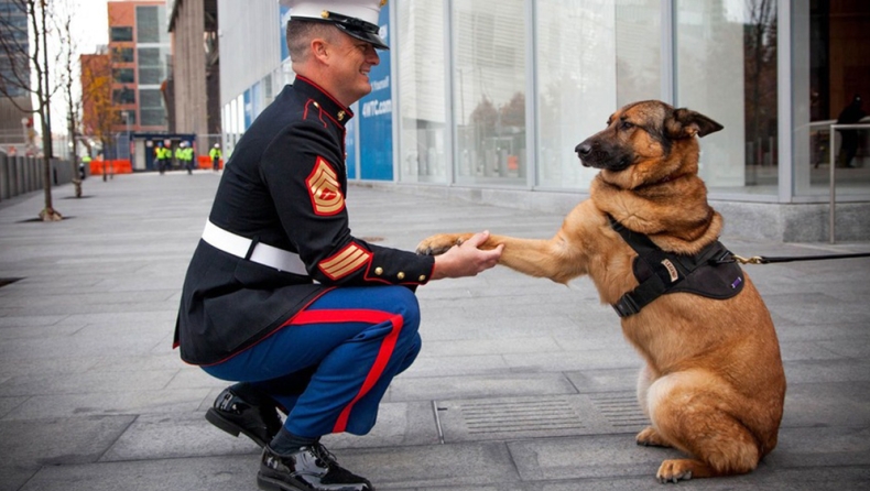 Σκυλάκος έχασε το πόδι του στο Αφγανιστάν, παρασημοφορήθηκε και τώρα δίνει δύναμη σε στρατιώτες (pics)