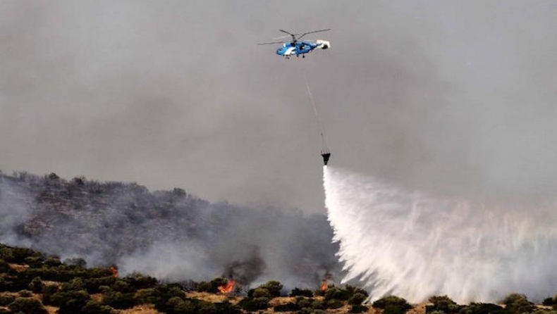 Ανείπωτη είναι η τραγωδία στην Κύπρο με την τεράστια πυρκαγιά (pics & vid)