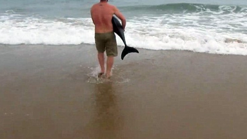 Δελφίνι σώθηκε από ευσυνείδητο λουόμενο (pics & vids)
