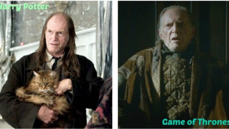 Από τον Harry Potter στο... Game of Thrones: 13 ηθοποιοί που εμφανίστηκαν και στα δύο (pics)