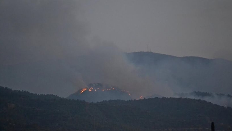 Κύπρος: Τεράστια καταστροφή από τη φωτιά που έβαλε 12χρονος