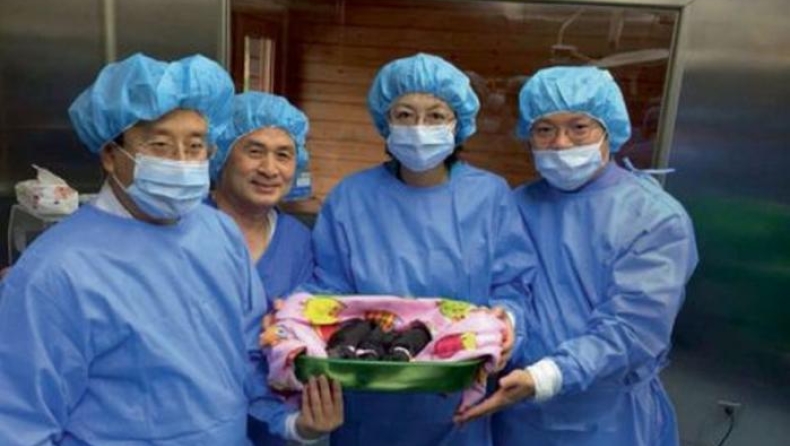 Ξεκινά στην Κίνα η πρώτη μαζική κλωνοποίηση ζώων