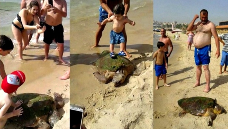 Τράβηξαν από την θάλασσα χελώνα για να βγάλουν selfies (pic)