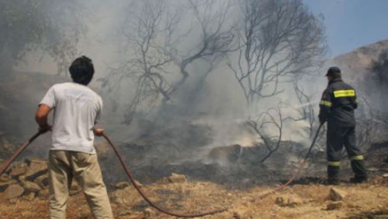 Τεράστια οικολογική καταστροφή από την πυρκαγιά στην Εύβοια