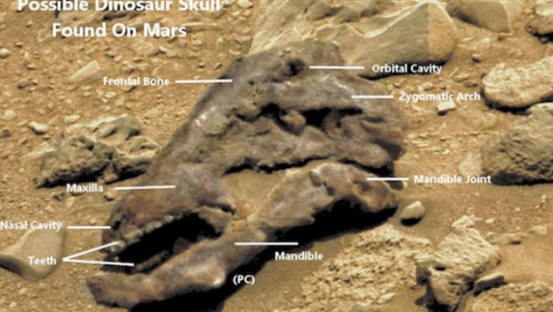 Κάποιοι πιστεύουν ότι βρέθηκε δεινόσαυρος στον Άρη (pics)