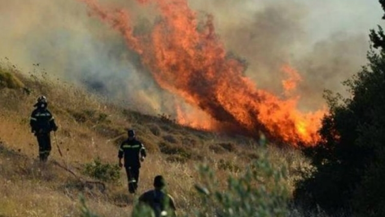Μεγάλη πυρκαγιά στην Εύβοια (pics)