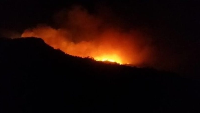 Ιεράπετρα: Στις φλόγες το δάσος Σελάκανο - Ανεξέλεγκτη μαίνεται η φωτιά