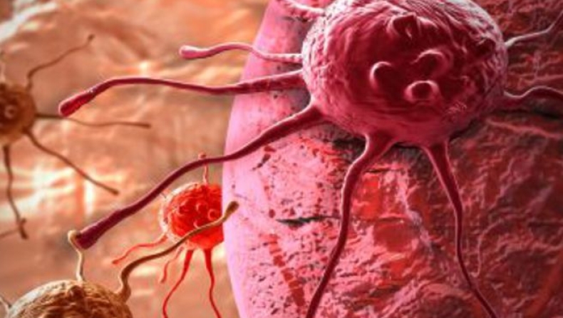 Έρευνες σε Γερμανία και Ολλανδία για τον θάνατο τριών καρκινοπαθών