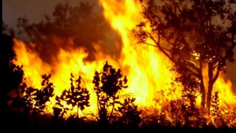 Φλέγεται η Πορτογαλία: Σχέδιο έκτακτης ανάγκης για τις πυρκαγιές
