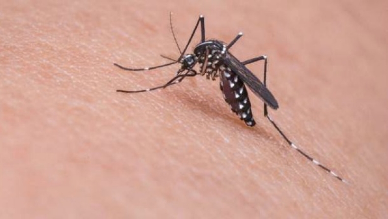 Δύο κρούσματα ελονοσίας σε οικισμό του Δήμου Λαγκαδά