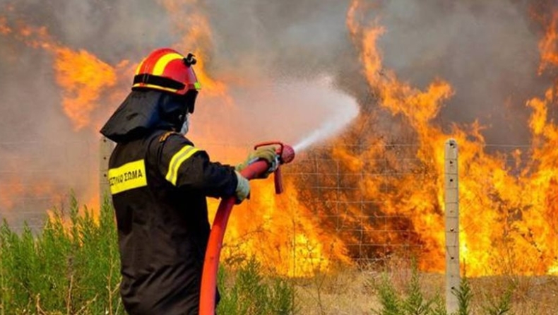 Πυρκαγιά σε αγροτική έκταση στο Λαγκαδά Θεσσαλονίκης