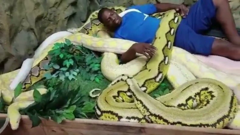 Ξάπλωσε παρέα με τεράστιο φίδι ο Σέραφεν! (vid)