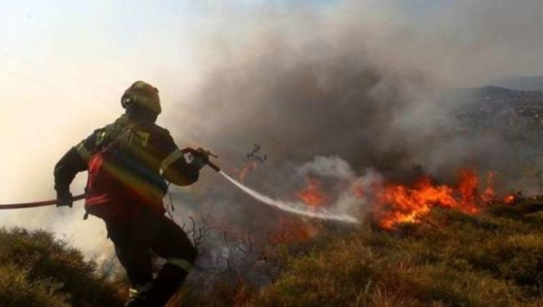 Υπό μερικό έλεγχο η πυρκαγιά στο Καστρί της Νότιας Εύβοιας