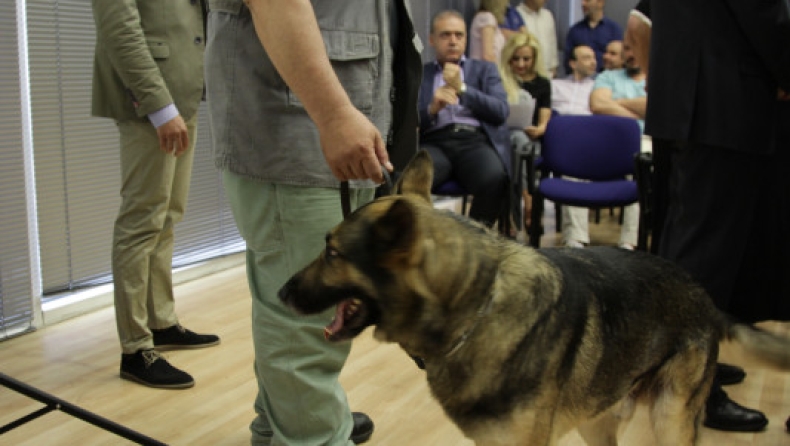 Αθάνατο ελληνικό δημόσιο: 3μελής επιτροπή για την στείρωση σκύλου!
