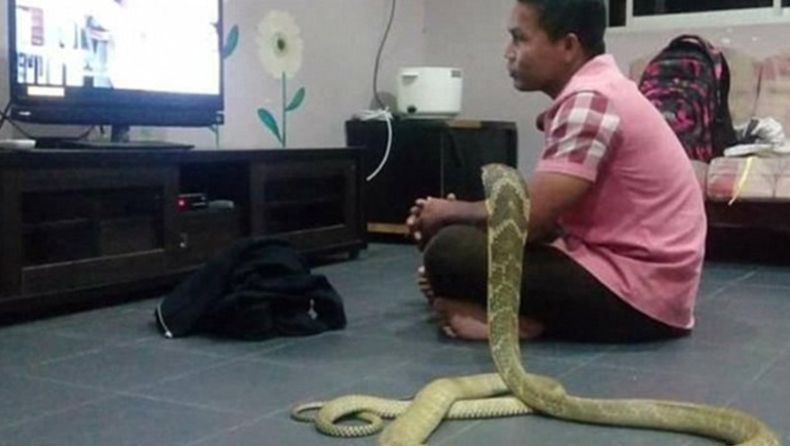 Παντρεύτηκε με φίδι γιατί του θυμίζει τη νεκρή σύντροφό του